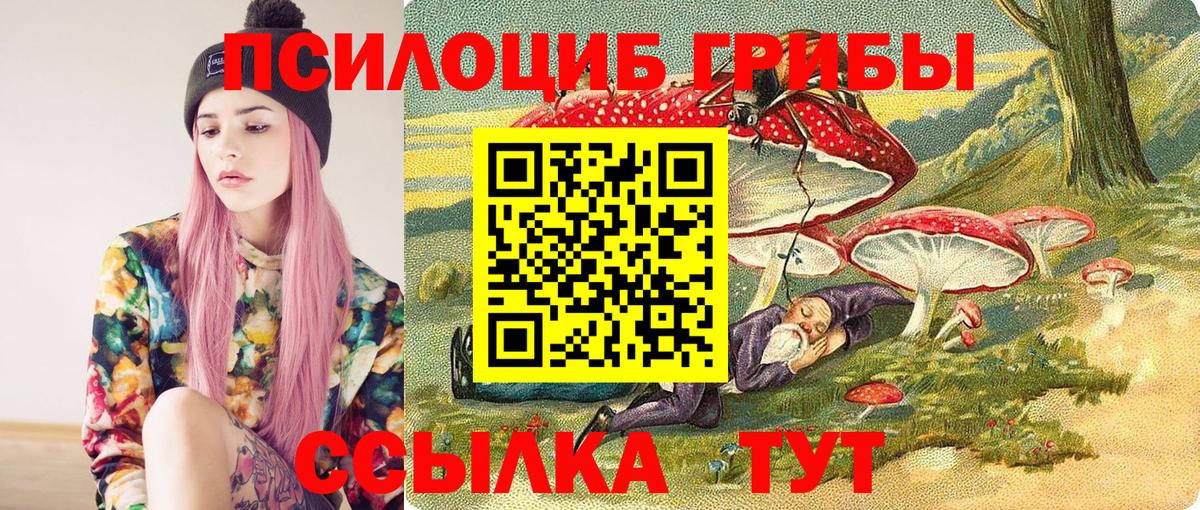 Псилоцибиновые грибы ЛСД Киров