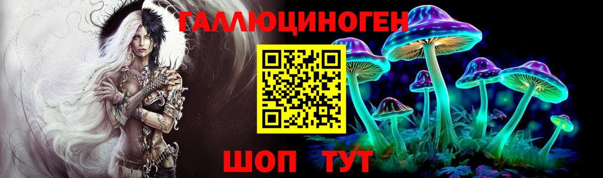 Псилоцибиновые грибы GOLDEN TEACHER  купить наркоту  Киров  Вход с VPN 